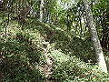 isidou097_thumb.png
