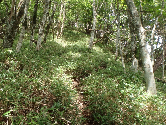 isidou098.jpg