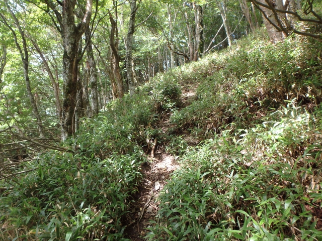isidou099.jpg