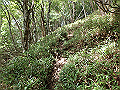 isidou099_thumb.png