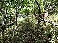 isidou103_thumb.png