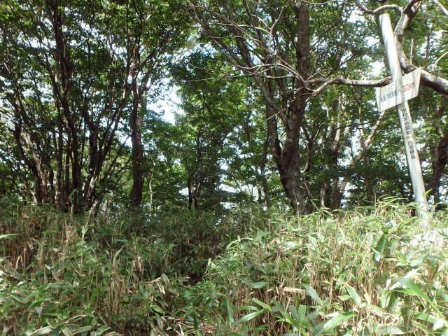 isidou104.jpg