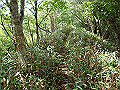 isidou106_thumb.png