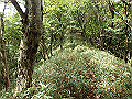 isidou107_thumb.png