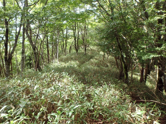 isidou108.jpg
