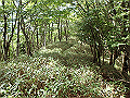 isidou108_thumb.png