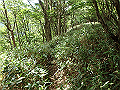 isidou109_thumb.png