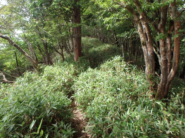 isidou111.jpg