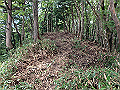 isidou112_thumb.png