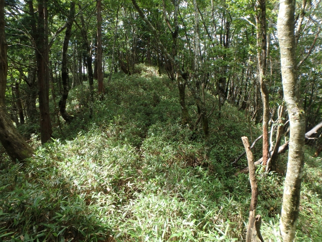 isidou113.jpg