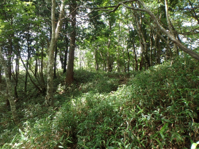 isidou114.jpg