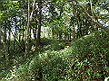 isidou114_thumb.png