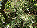isidou116_thumb.png