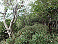 isidou119_thumb.png