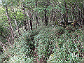 isidou120_thumb.png