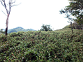 isidou125_thumb.png