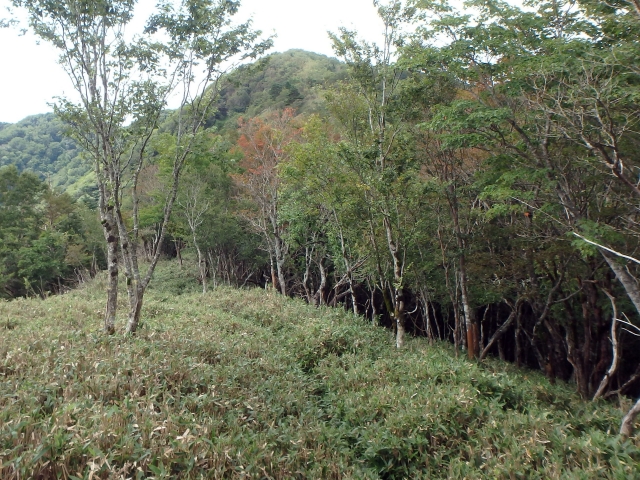 isidou129.jpg