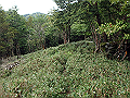 isidou130_thumb.png