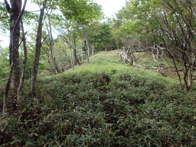 isidou133.jpg
