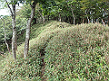 isidou134_thumb.png