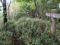 isidou135_thumb.png