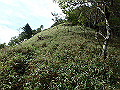 isidou138_thumb.png