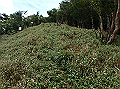isidou140_thumb.png