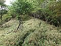 isidou142_thumb.png