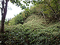 isidou144_thumb.png