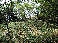 isidou149_thumb.png