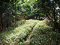 isidou156_thumb.png