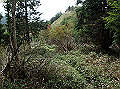 isidou157_thumb.png