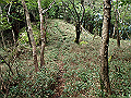 isidou160_thumb.png