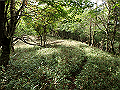 isidou161_thumb.png
