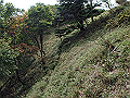 isidou163_thumb.png