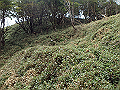 isidou164_thumb.png