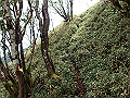 isidou165_thumb.png