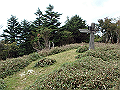 isidou168_thumb.png