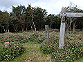 isidou169_thumb.png