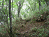 iti31_thumb.png