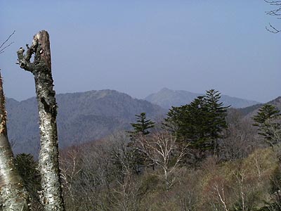 jiro12.jpg