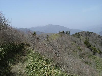 jiro25.jpg