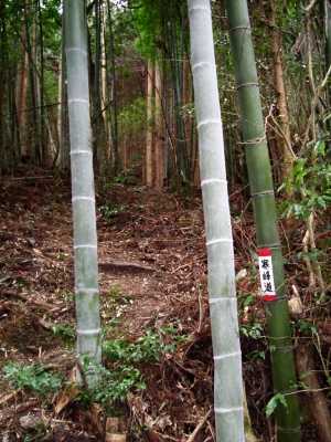 kanpo04.jpg