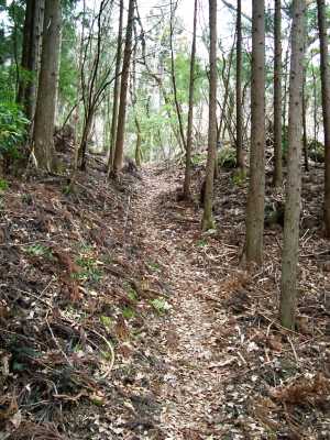 kanpo05.jpg