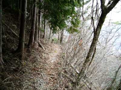 kanpo06.jpg