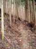 kanpo08_thumb.png