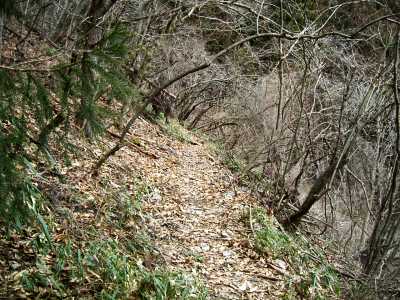 kanpo09.jpg