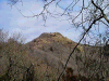 kanpo26_thumb.png