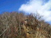 kanpo35_thumb.png