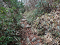 kunimi08_thumb.png